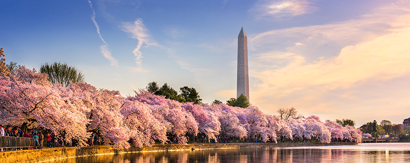 Visa Banner - Tidal Basin
